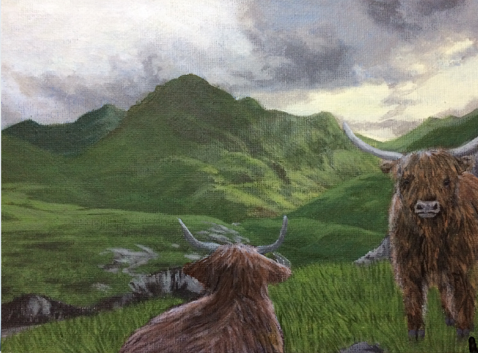 Morning in the Highlands