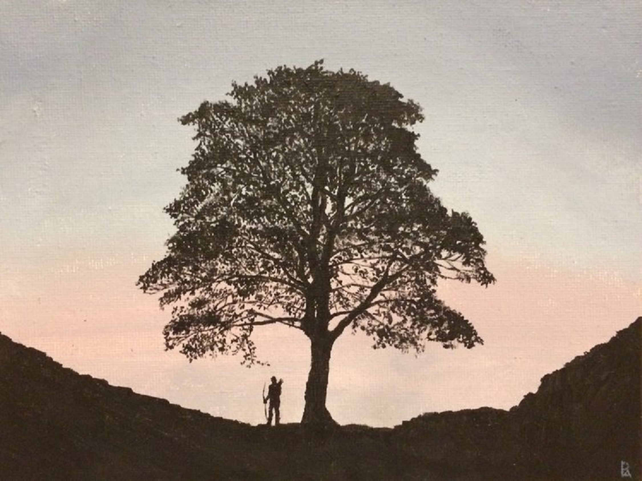 The last farewell {Sycamore gap}