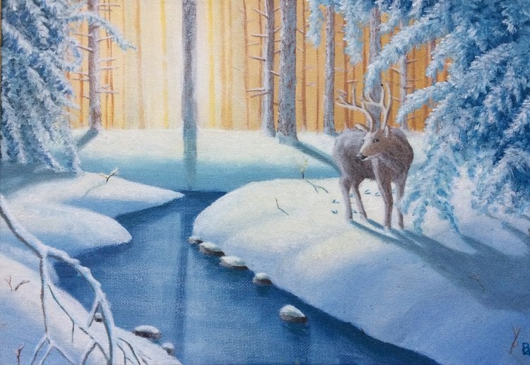 Winter woodland